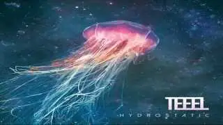 Teeel - Polar Bears