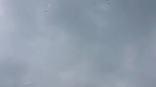 Rain drops | Satisfying | slow motion