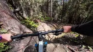 Maydena bike park Tasmania