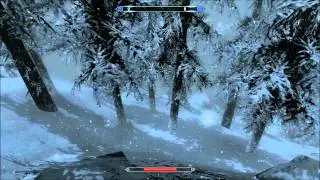 Skyrim PC Test