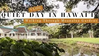 Quiet Walk Through Moanalua Gardens 🌿 | Relaxing Hawaii Nature Walk