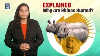 Explained: Poaching of Rhinos & Government Initiatives