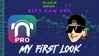 A first look at RipX Daw Pro from HitnMix