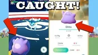 Battleing with DITTO see how it's transformed