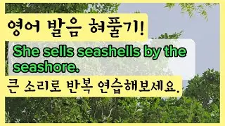 영어 발음 혀 훈련부터! [She sells seashells by the seashore.]