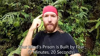New Nature Videos - Only on Telegram