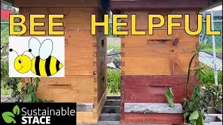 BEE Helpful