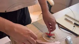 study with me/同我一齊學啦📖￼