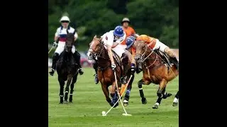Pebble Breakers won the final of Hamdan Aibak Polo Cup