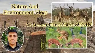 How does the natural environment influence humans?