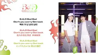 [KR/CN/JP] SUPER JUNIOR-D&E &lsquo;B.A.D&rsquo; Lyric Video