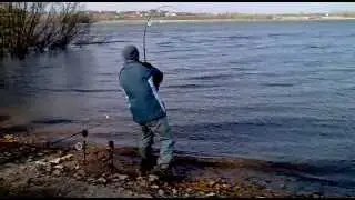 2012.03.31. Fehérvárcsurgó 84.70kg tórekord harcsa