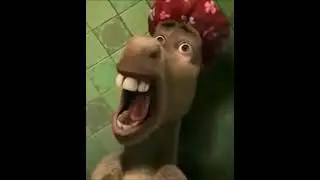 Donkey Screaming