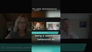 What Is a Veterinary Behaviorist? (Dr.  Pachel PAAW Interview Part 1) #dogtraining