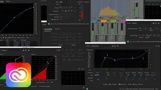 Top 5 Reason to Try Audition CC | Adobe Creative Cloud