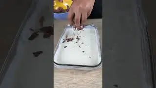 Glace maison aux p&eacute;pites de chocolat avec de la cr&egrave;me et du lait concentr&eacute; cr&eacute;meux.