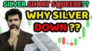 WHY SILVER BEES DOWN MORETHAN 10 PERCENT ? - SILVER COMPLETE DETAILS |  SILVER ETF,  TAMIL SHARE