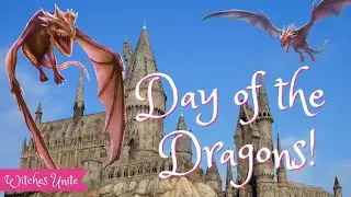 SUCCESS! Wizards Unite Day of the Dragons!