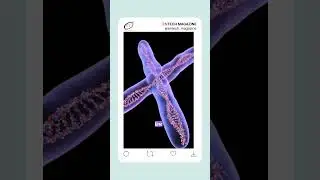 🔬 Ever wondered how our bodies grow and heal #STEMEnthusiast #GirlsinSTEM #TechEducation