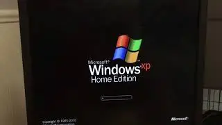 how to remove password from windows xp