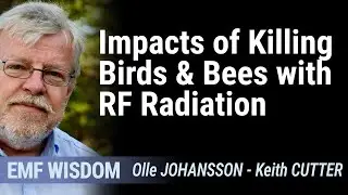 Impacts of Killing Birds and Bees with RF Radiation