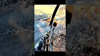 охота на оленей с луком на очень близком расстоянии #archery#bowhunting#caccia#deerhunting#deer#hunt