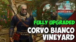 Witcher 3: Blood and Wine - Fully Upgraded CORVO BIANCO Vineyard Tour - Geralt's Home