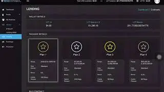 A peak on my 4k investment on lendconnect, #1 lending platform in the world