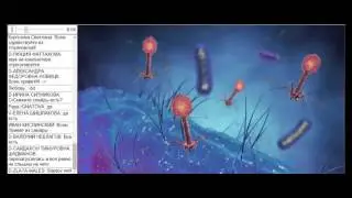 Укрепление иммунитета с помощью БАД VISION