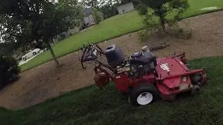 Tall fescue mowing height GCI Turf Services