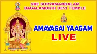 SREE BAGALAMUKHI SARVA DOSHA SHANTHI YAAGAM (AMAVASAI YAAGAM) - LIVE -18-01-2026