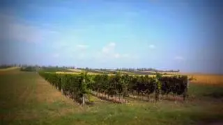 SKA Zicksee.wmv