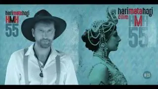 Hari Mata Hari - Zavoljeh te ludo  (Audio 2016)