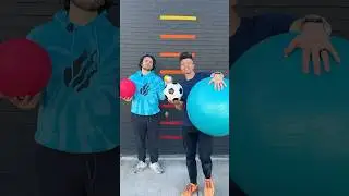 Which Ball Will Bounce the Highest? ⚽🏈