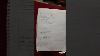 Parametros adimensionales comunes