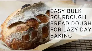 Kelly Welk LIVE! Mixing Up a Bulk Batch of Sourdough Dough, Why Different Sourdough Ratios, Starter