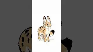 Cute Serval! #animation #shorts