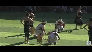 Rit nong chingdi ||{Karbi Tridisonal dance}|| Nagaland Hornbill Festival 2025 - Day 7
