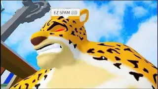 Pvp with leopard beford rework