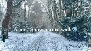 Asmr | Walking in snow | Relaxing nature sounds ❄️