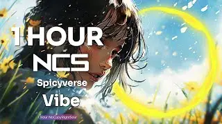 [1 HOUR] Spicyverse - Vibe | House | NCS - Copyright Free Music