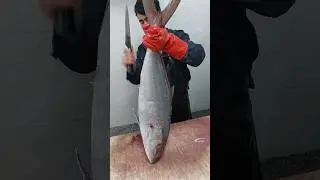 amberjack fish cutting | fish cutting skills  #fish