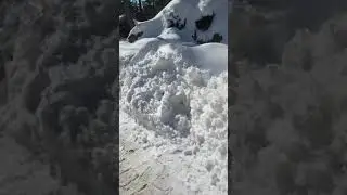 Malam jaba snow