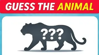 ⭐ Guess The Animal By Shadow 🐾🔥 | Only Genius Can Get All Right!