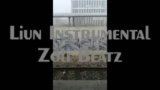 44. Liun Instrumental / Zoli Beatz - Beat 