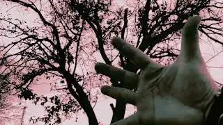 THE M&Uuml;N - Nada que perder (Videoclip oficial)