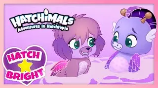 Hatchimals Hatch Bright Episodes 6 to 10 | Adventures in Hatchtopia Compilation | Cartoon for Kids