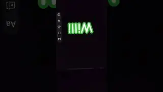 мои персы под....................... НОВЫЙ ГОД!!!!!!!!!!!