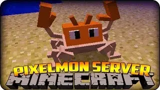Public Pixelmon Island Server! New Hub! & New Ranks!