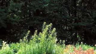 relax sound meditation medical proved use the ear fone wind chinese chime nishant kaushaal